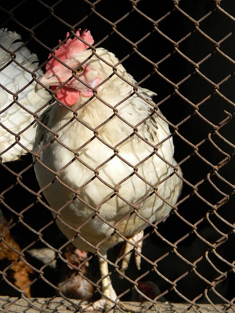 让亲穿球鞋 让亲穿球鞋