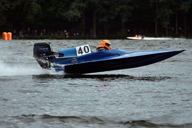 佩莱格里尼 佩莱格里尼