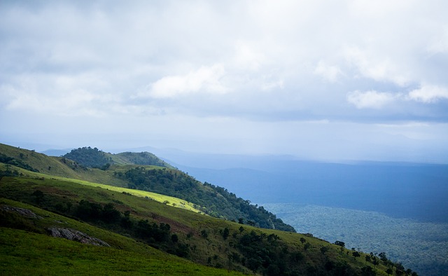 试图寻找对 试图寻找对