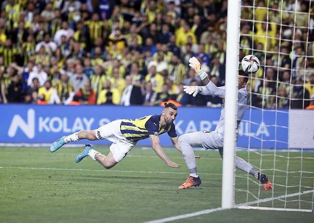 維尼修斯等 維尼修斯等