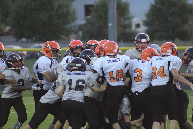 如果离开舒 如果离开舒